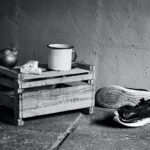 a black and white photo of a pair of shoes
