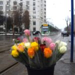 Tombolă de 8 martie, organizată de STB. Foto: Facebook/ STB