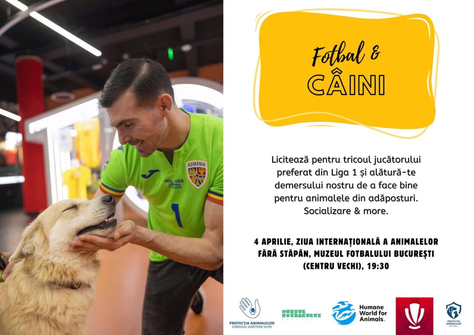 Eveniment caritabil, de Ziua Internațională a Animalelor fără Stăpân. Fotbaliștii își dau tricourile, la licitație. FOTO: Protecția Animalelor Ilfov
