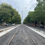 Defrișări controlate pentru lucrări de infrastructură. 55 de arbori vor fi defrișați pentru modernizarea linia 5 de tramvai. FOTO: PMB