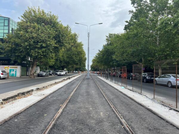 Defrișări controlate pentru lucrări de infrastructură. 55 de arbori vor fi defrișați pentru modernizarea linia 5 de tramvai. FOTO: PMB
