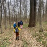 Flori de primăvară în Pădurea Snagov. Cum arată paradisul verde prădat din apropierea Capitalei. Foto: Andreea Tudor