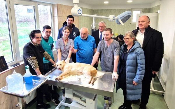 Studenții de la Facultatea de Medicină Veterinară îngrijesc câinii fără stăpân, din Adăpostul Odăi. Proiectul a fost lansat de Primăria Sectorului 1. FOTO: PS1