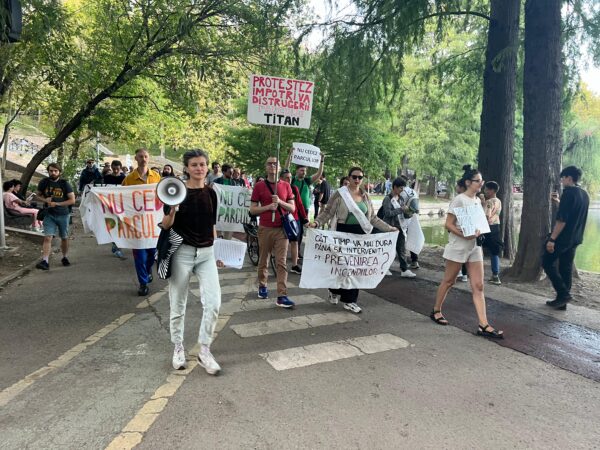 Aici a fost o pădure