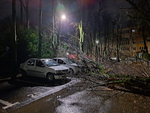 Aproape 60 de intervenții ale ISU-Bif, în timpul codului de vânt, în București și Ilfov. FOTO: Arhiva