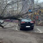 Circulație afectată pe mai multe linii de transport public din cauza vijeliei. FOTO: Arhiva