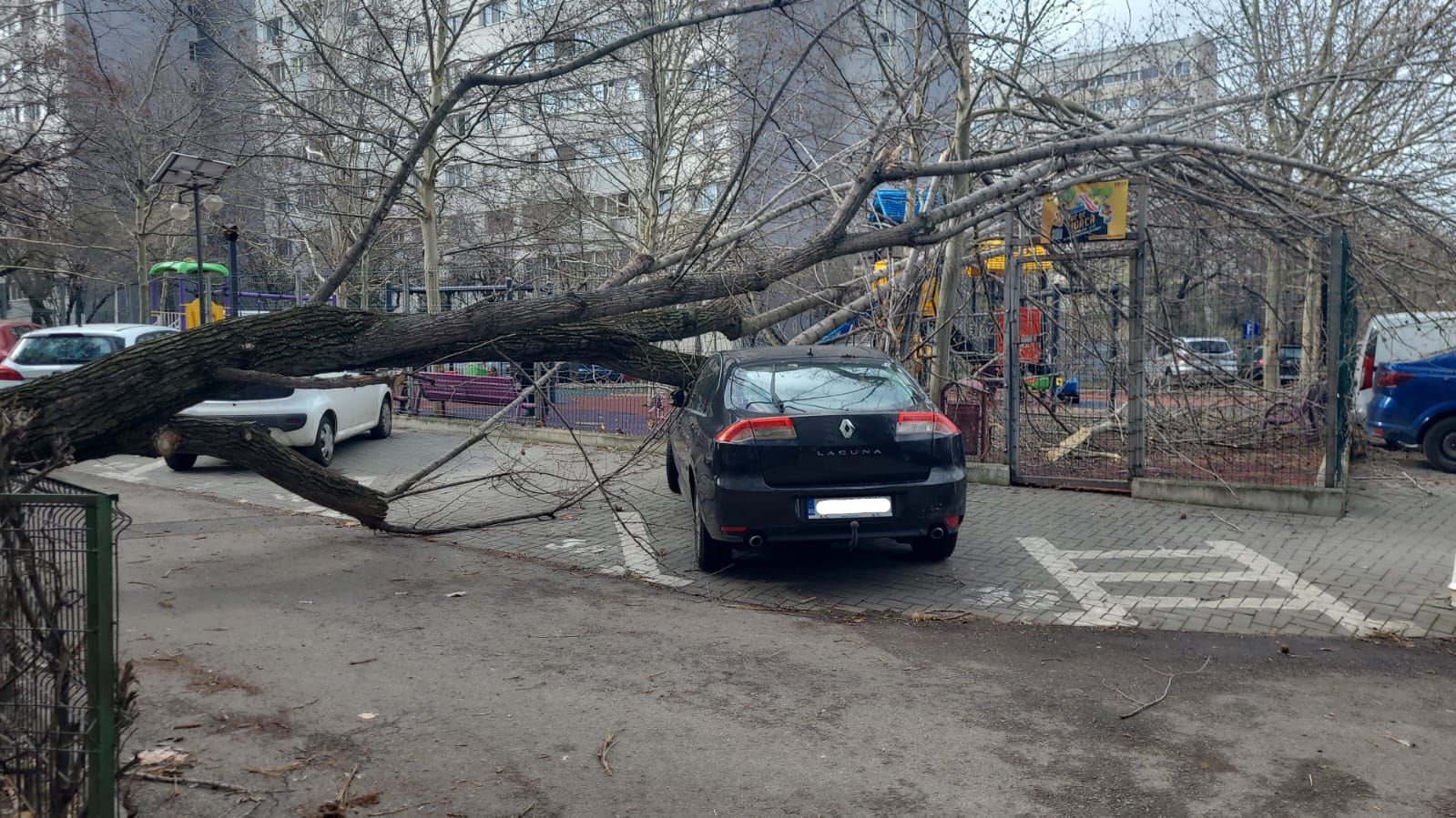 Circulație afectată pe mai multe linii de transport public din cauza vijeliei. FOTO: Arhiva