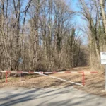 Greenfield prin pădurea Băneasa