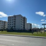 „De unde atâta rea voință din partea unor ONG-uri?”. Ce spun locuitorii din Greenfield despre drumul prin Pădurea Băneasa