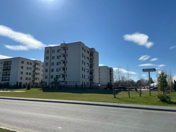 „De unde atâta rea voință din partea unor ONG-uri?”. Ce spun locuitorii din Greenfield despre drumul prin Pădurea Băneasa