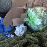 Inteligenţa artificială, folosită în gestiunea salubrităţii din Sectorul 1