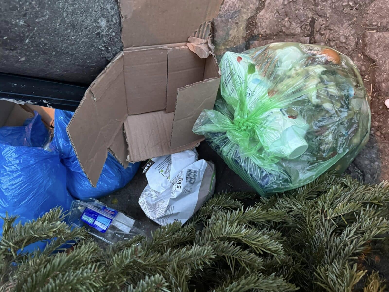 Inteligenţa artificială, folosită în gestiunea salubrităţii din Sectorul 1