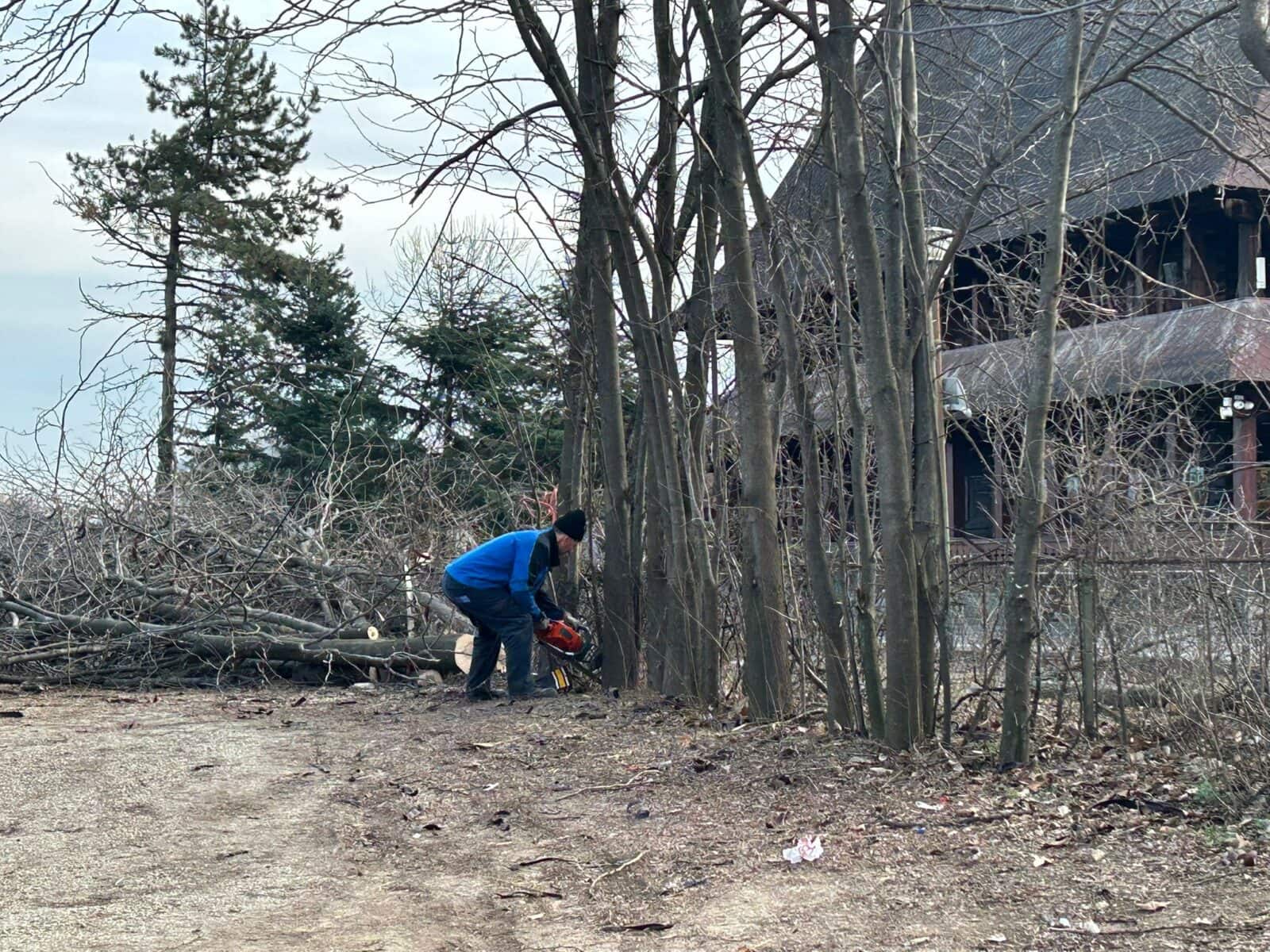 EDITORIAL | Cine taie în Parcul IOR: „Clanul"