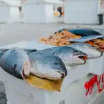 controlul ANPC în Obor