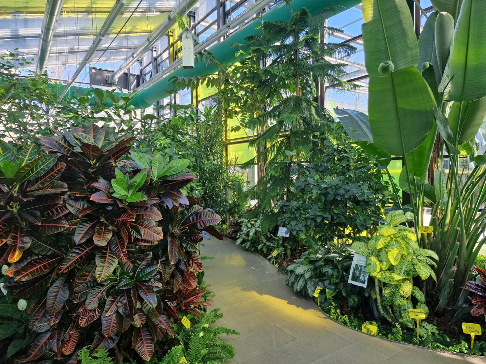 Program de vară la serele exotice din Parcul Drumul Taberei. Foto: Arhivă via FB/ ADPDU Sector 6