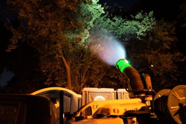 Ilfov | Începe dezinsecția pe spațiile publice. Tratamente de combatere a țânțarilor, până pe 27 mai. FOTO: Arhiva