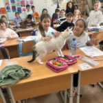 Acțiuni de salvare și reabilitare a animalelor sălbatice, în școlile ilfovene, în cadrul programului „Săptămâna Verde". FOTO: CJ Ilfov