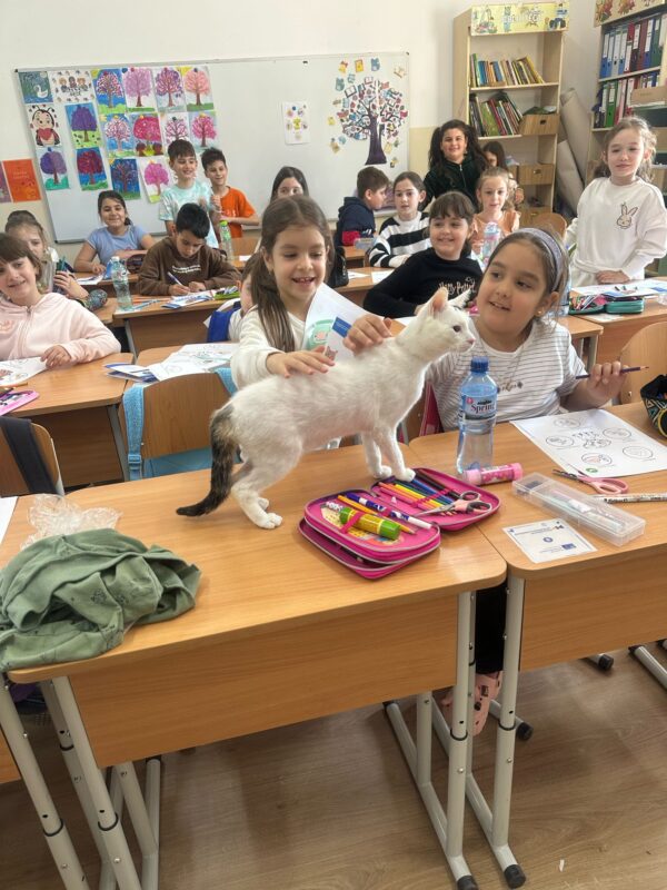 Acțiuni de salvare și reabilitare a animalelor sălbatice, în școlile ilfovene, în cadrul programului „Săptămâna Verde". FOTO: CJ Ilfov