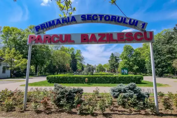 arbori din Parcul Bazilescu