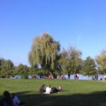 Vreme frumoasă, la începutul săptămânii. Valorile termice mai cresc, în prima parte a intervalului. FOTO: Arhiva