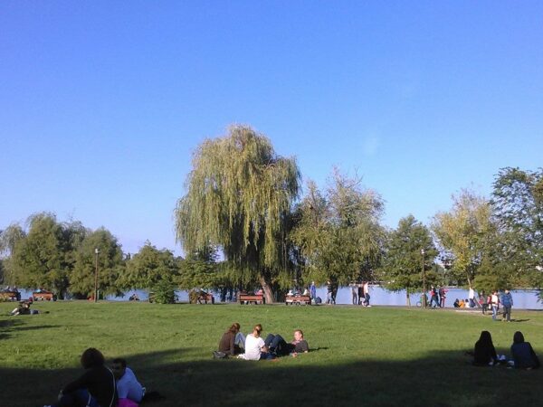 Vreme frumoasă, la începutul săptămânii. Valorile termice mai cresc, în prima parte a intervalului. FOTO: Arhiva