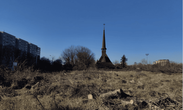 oamenii din spatele Mariei Cocoru