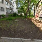 Copii filmaţi în timp ce au rupt pomişori, la adresa Valea Oltului 26. FOTO: FB / PS6