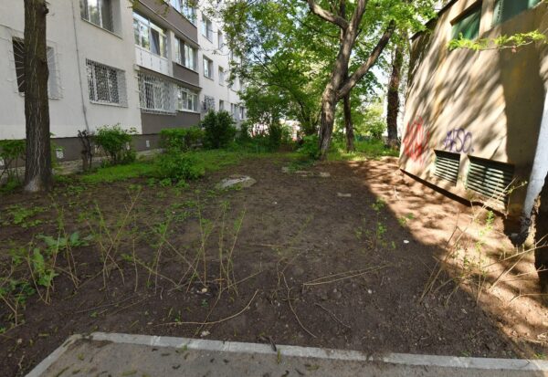 Copii filmaţi în timp ce au rupt pomişori, la adresa Valea Oltului 26. FOTO: FB / PS6