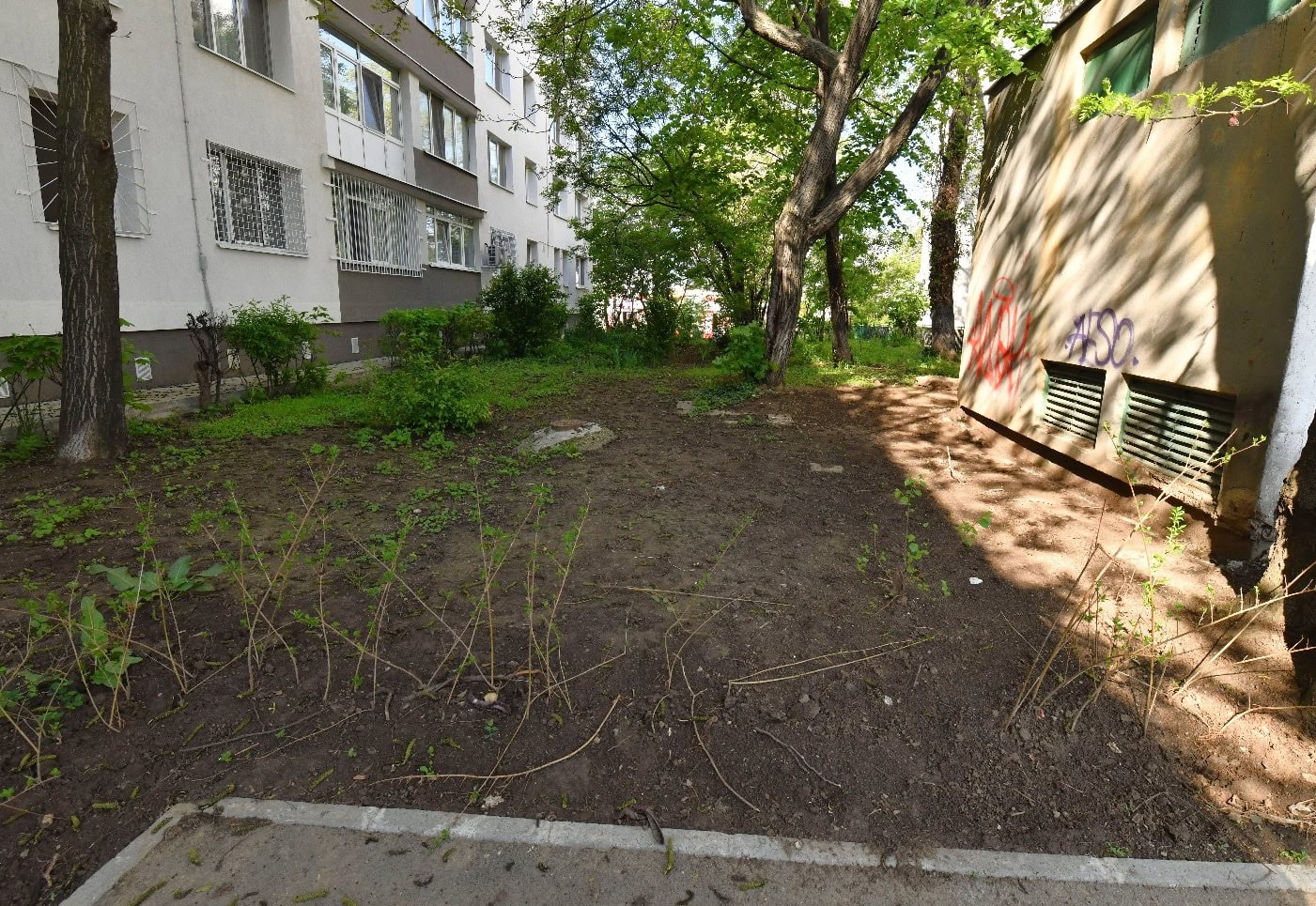 Copii filmaţi în timp ce au rupt pomişori, la adresa Valea Oltului 26. FOTO: FB / PS6