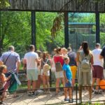 Dezbatere publică pentru tarifele și programul de la Grădina Zoologică. FOTO: Arhiva