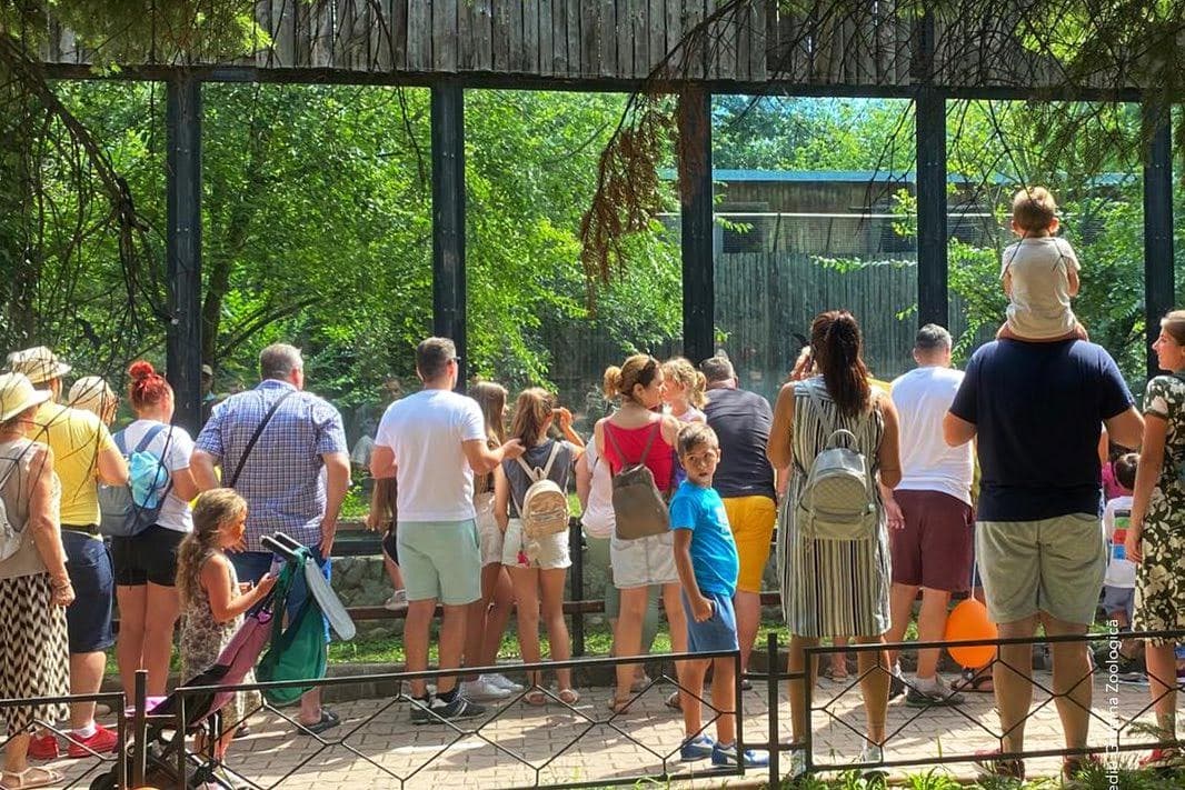 Dezbatere publică pentru tarifele și programul de la Grădina Zoologică. FOTO: Arhiva