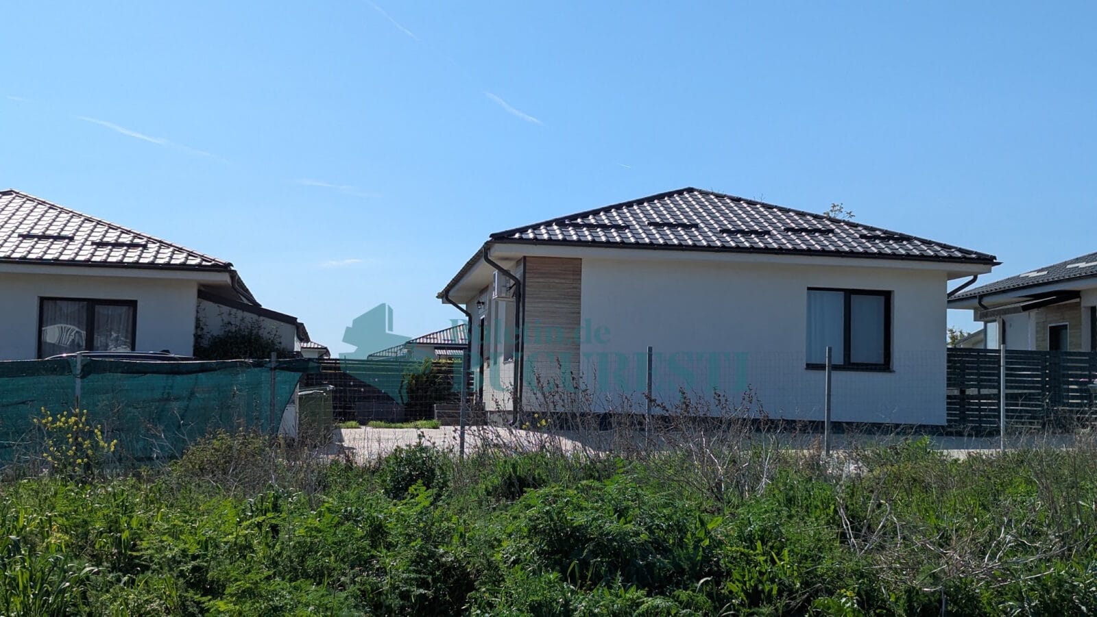 fotografiile publicate de Elena Lasconi