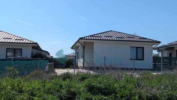 fotografiile publicate de Elena Lasconi