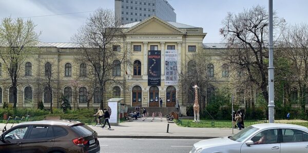 Noaptea Muzeelor, la „Grigore Antipa”. FOTO: Wikipedia