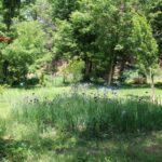 Tratamente de combatere a căpușelor, în toate sectoarele Capitalei. FOTO: PS2