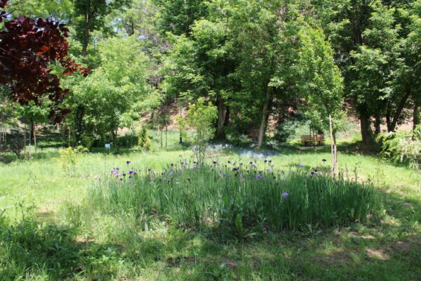 Tratamente de combatere a căpușelor, în toate sectoarele Capitalei. FOTO: PS2