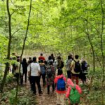 Parcul Natural Văcărești împlinește nouă ani de la înființare. Un tur ghidat va avea loc pe 10 mai. FOTO:Asociația Parcul Natural Văcărești