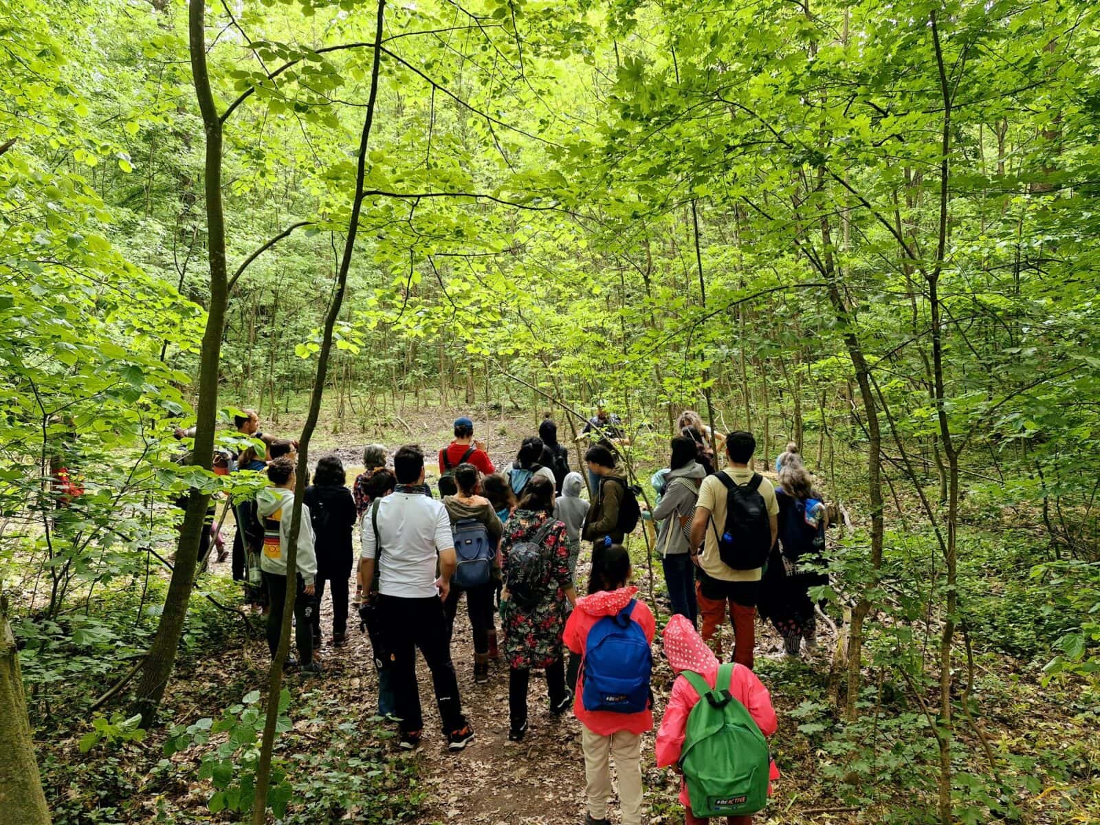 Parcul Natural Văcărești împlinește nouă ani de la înființare. Un tur ghidat va avea loc pe 10 mai. FOTO:Asociația Parcul Natural Văcărești