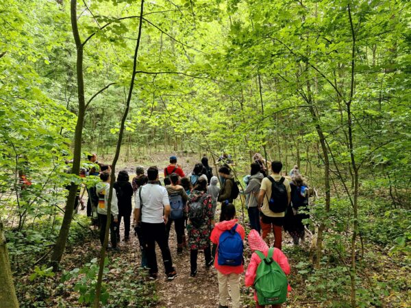 Parcul Natural Văcărești împlinește nouă ani de la înființare. Un tur ghidat va avea loc pe 10 mai. FOTO:Asociația Parcul Natural Văcărești
