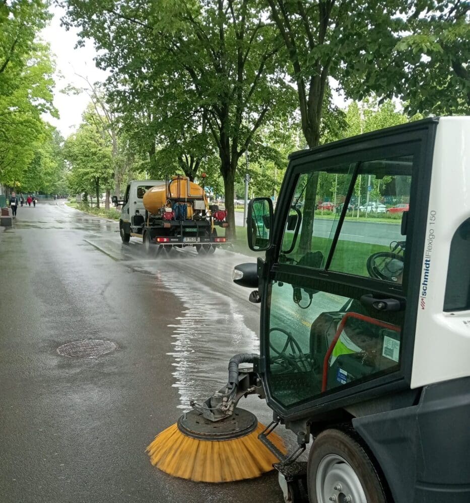 curățenia de primăvară