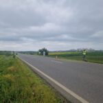 Ilfov | Acțiuni de combatere și eliminare a ambroziei, în toate localitățile. FOTO: CJ Ilfov