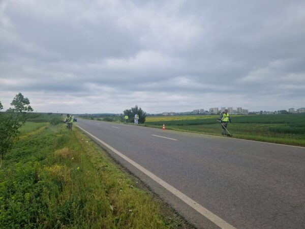Ilfov | Acțiuni de combatere și eliminare a ambroziei, în toate localitățile. FOTO: CJ Ilfov