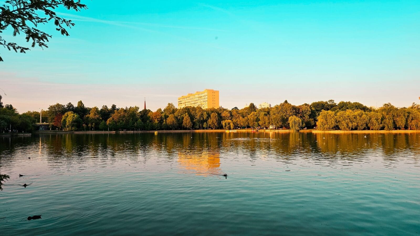 Consultare publică pentru modernizarea Parcului IOR. Alei din lemn, supravegheare video şi muzică ambientală, printre sugestii. Foto: FB/ PS3