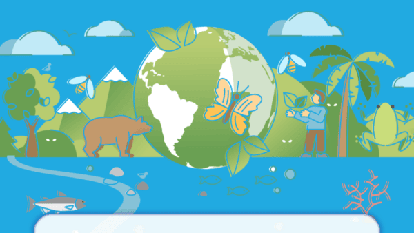 Olimpiada „Natura dintre Ape” revine cu ediția a III-a. FOTO: Apa Nova