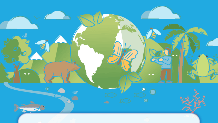 Olimpiada „Natura dintre Ape” revine cu ediția a III-a. FOTO: Apa Nova