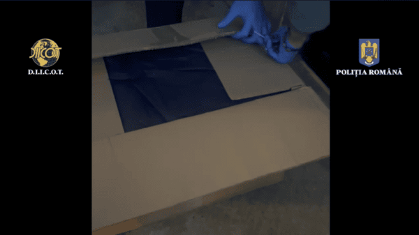 Sector 5 | Traficanţi prinşi cu 17 kilograme de canabis. Voiau să vândă drogurile pe litoral | FOTO: DIICOT