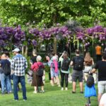 Programul West Side Flower Fest 2025, Foto: PS6