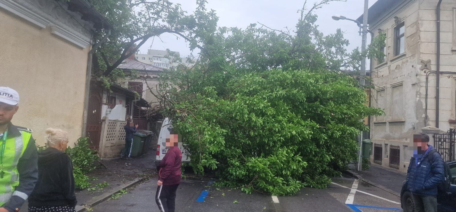 Copac căzut peste patru maşini. FOTO: Brigada Rutieră a Capitalei
