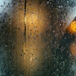 Cod portocaliu de ploi. FOTO: unsplash.com