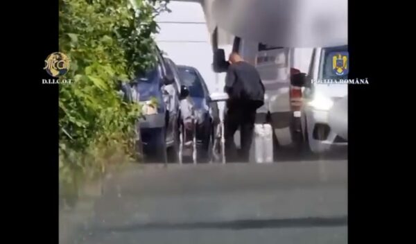 Captură „record” la DIICOT: 2,2 kilograme de canabis